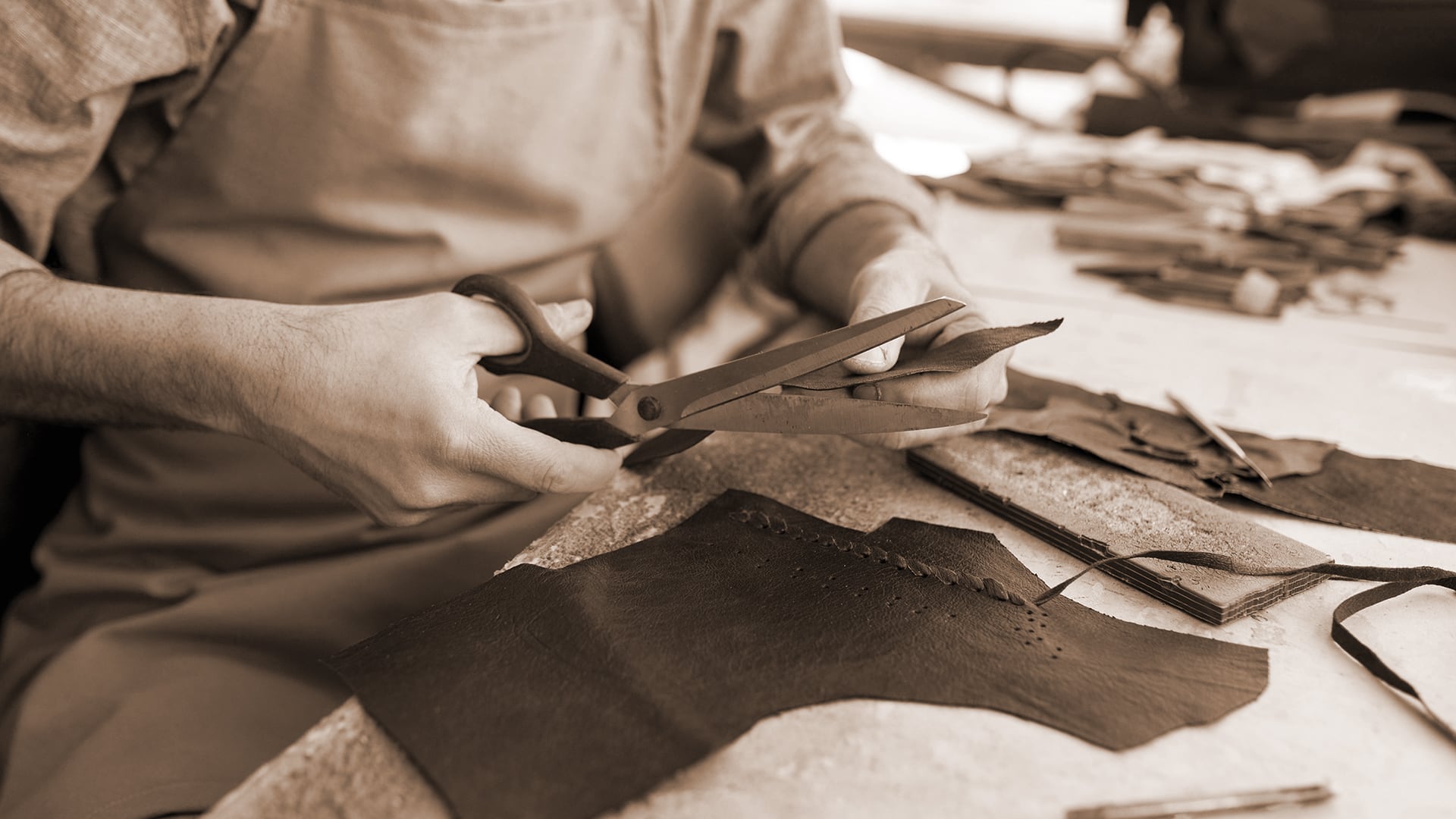 Laboratorio del Solettificio Giulia — fotografia 6